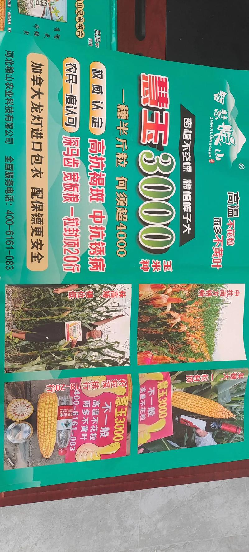 嘉峪关种子批发选购指南