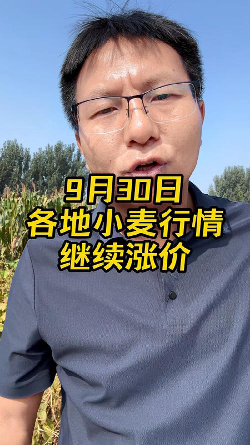 警惕误区：如何选择优质嘉峪关种子批发？